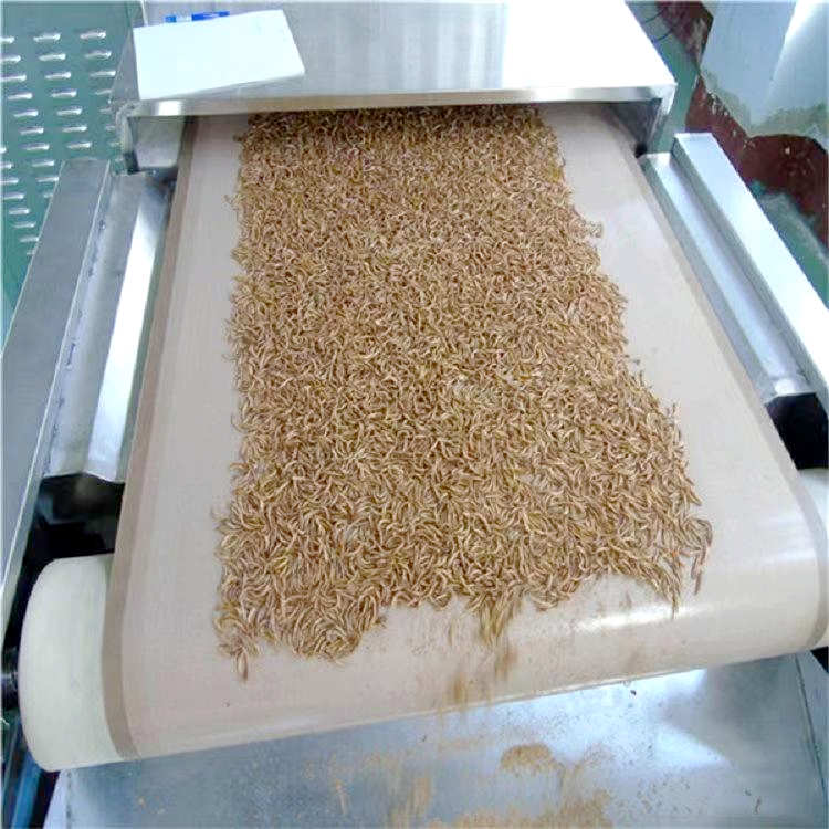Efficient Insects Drying Microwave Dryer Machine