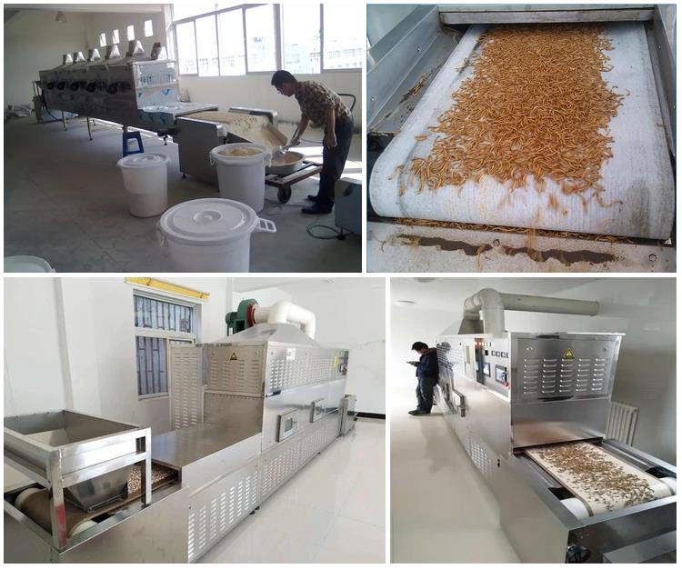 Efficient Edible Mealworms Drying Microwave Dryer Machine Low Prices
