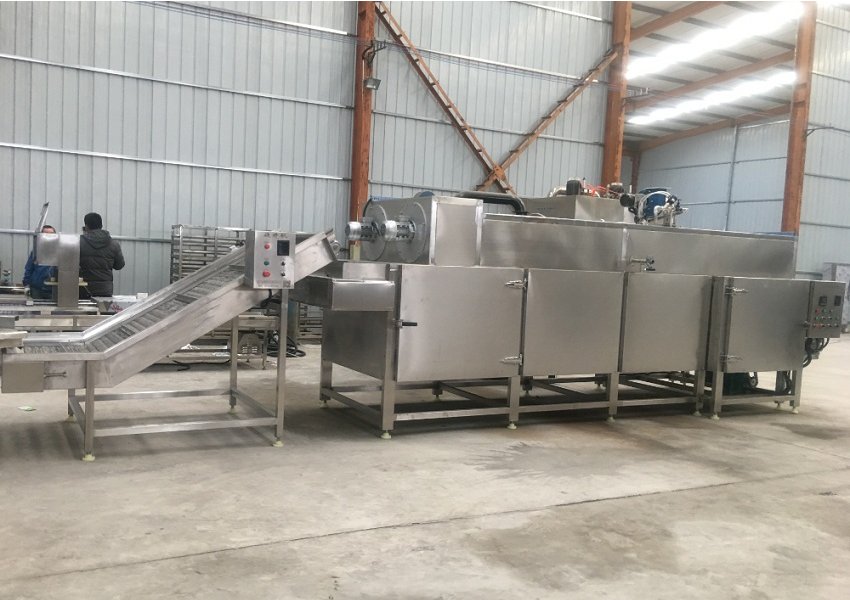 Industrial Mealworm Microwave Drying Machine Advantages
